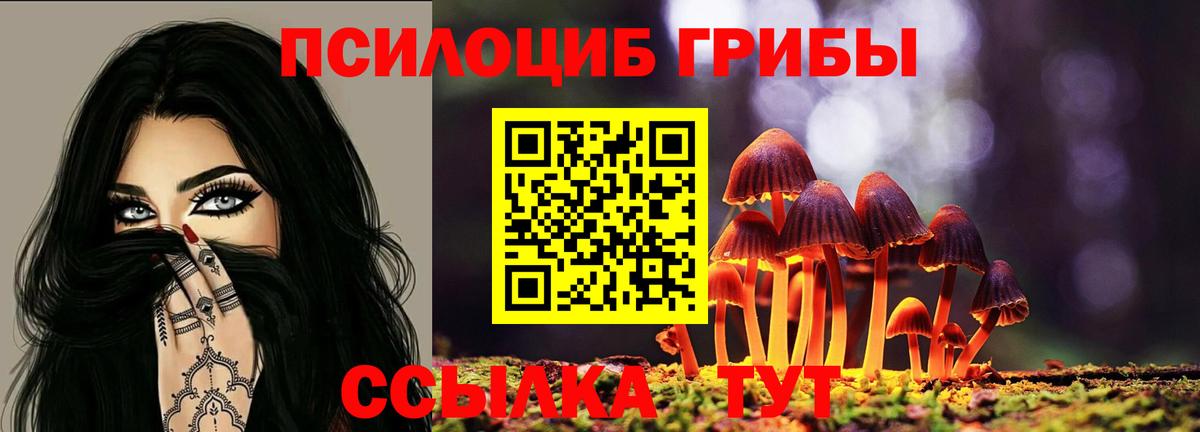 Галлюциногенные грибы мухоморы Камышин