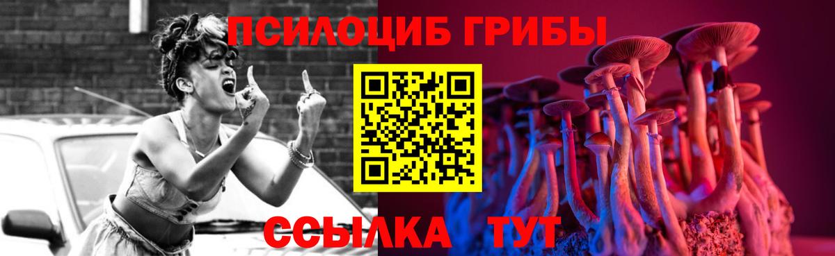 Камышин  Галлюциногенные грибы мухоморы  Псилоцибиновые грибы Psilocybine cubensis  Вход с VPN 